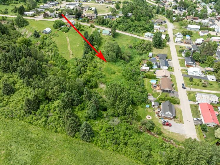 6 - Lot and land for sale, Saint-Urbain (Code - su083, Charlevoix)