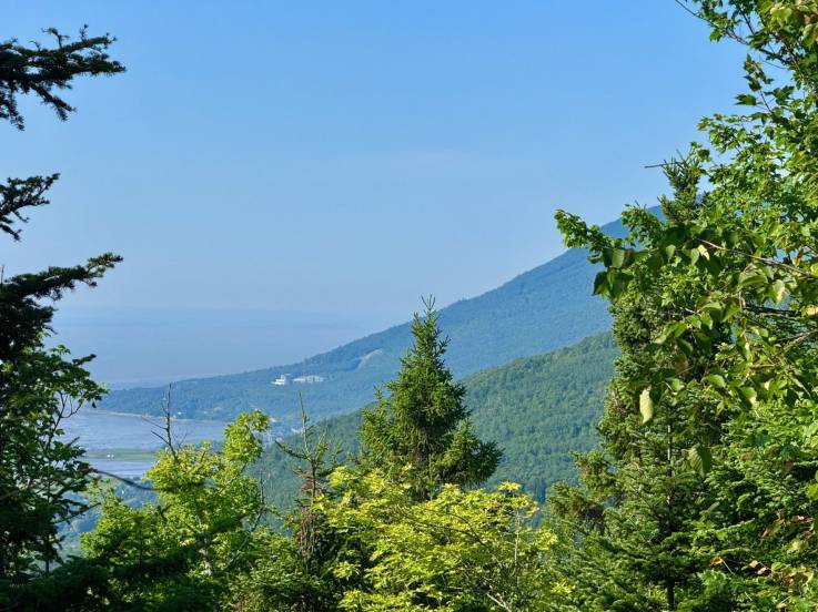Terrain et terre à vendre - Petite-Rivière-Saint-François, Charlevoix (PR856)