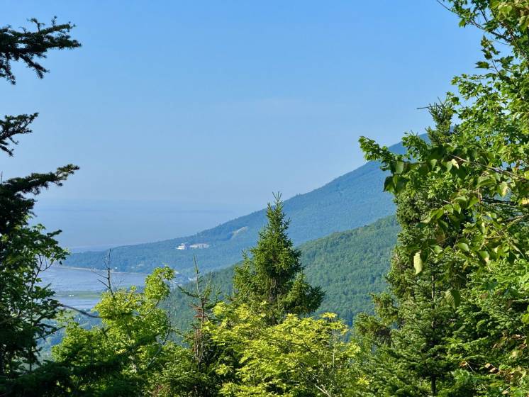 3 - Lot and land for sale, Petite-Rivière-Saint-François (Code - pr856, Charlevoix)