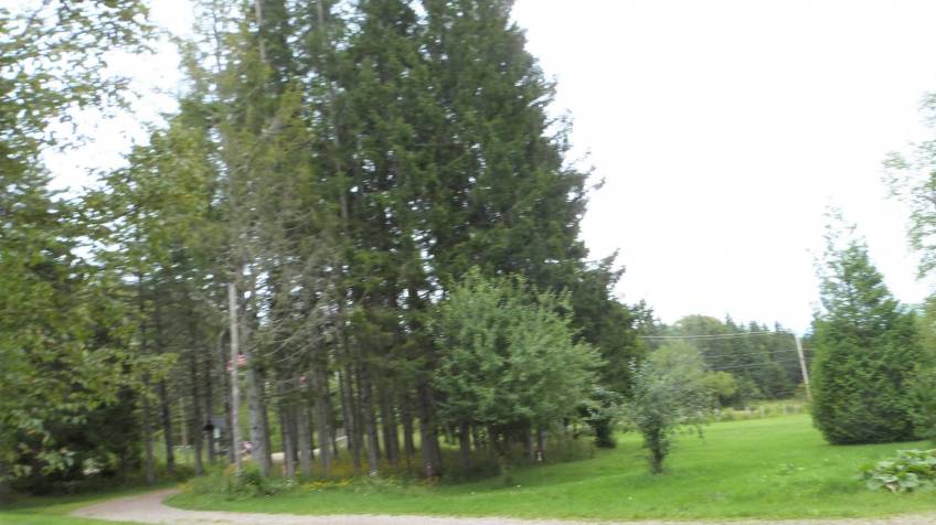 12 - House for sale, Baie-Saint-Paul (Code - sp780, Charlevoix)