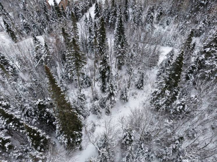 3 - Lot and land for sale, Petite-Rivière-Saint-François (Code - pr835, Charlevoix)