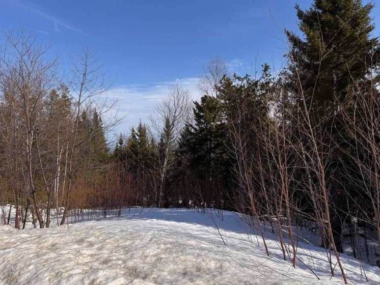 2 - Lot and land for sale, Petite-Rivière-Saint-François (Code - pr838, Charlevoix)