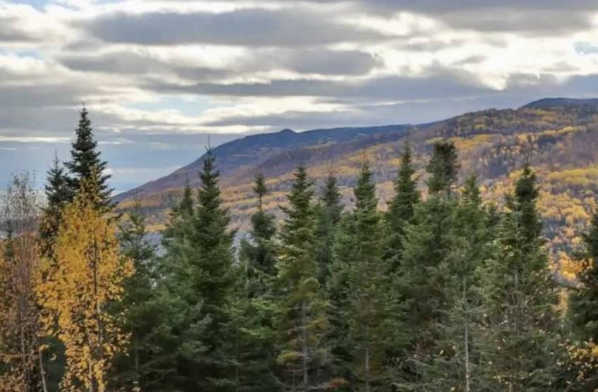 4 - House for sale, Petite-Rivière-Saint-François (Code - pr842, Charlevoix)