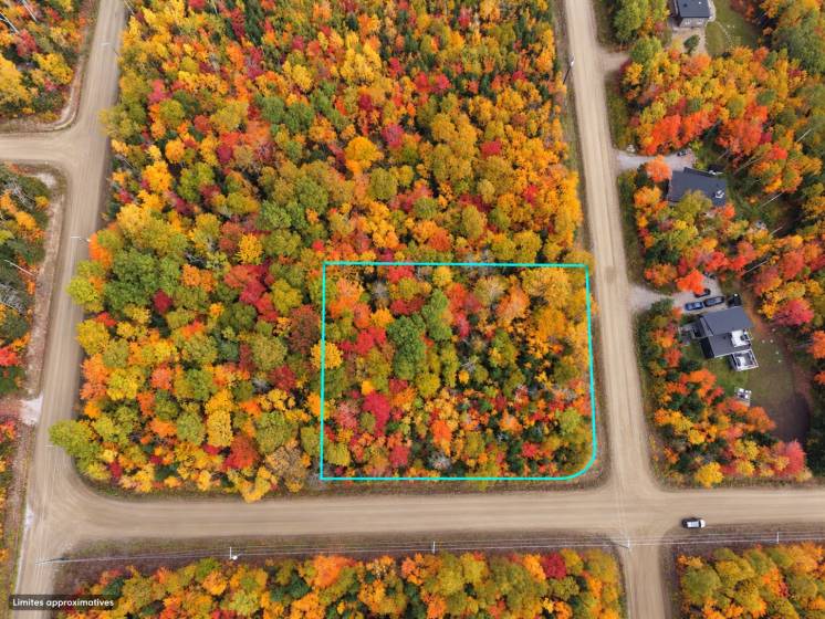 1 - Terrain et terre à vendre, Petite-Rivière-Saint-François (Code - pr864, Charlevoix)