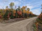 2 - Terrain et terre à vendre, Petite-Rivière-Saint-François (Code - pr864, Charlevoix)