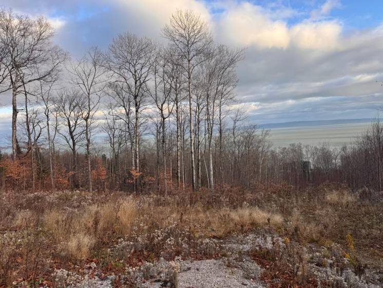 7 - Lot and land for sale, Petite-Rivière-Saint-François (Code - pr789, Charlevoix)