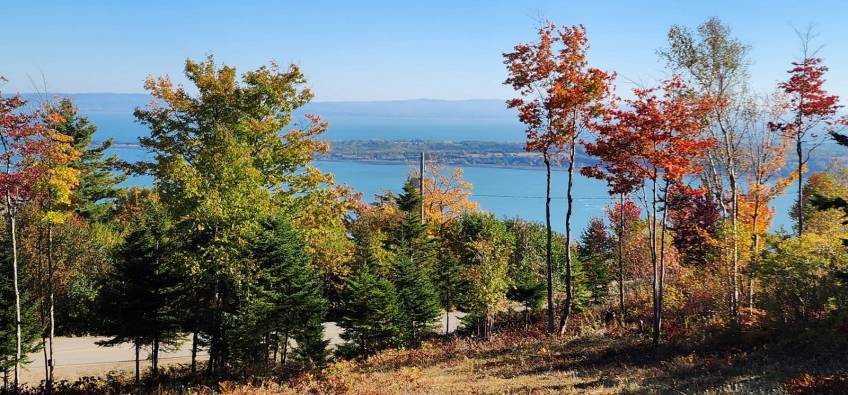 1 - Lot and land for sale, Les Éboulements (Code - eb310, Charlevoix)