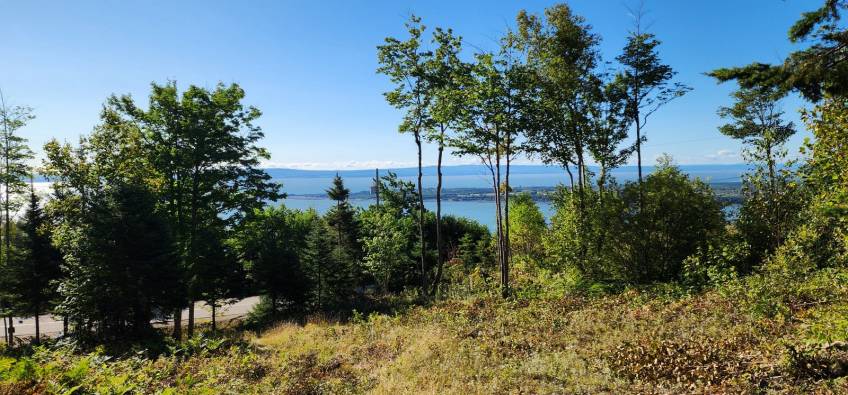 17 - Lot and land for sale, Les Éboulements (Code - eb310, Charlevoix)