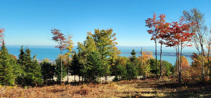 2 - Lot and land for sale, Les Éboulements (Code - eb310, Charlevoix)