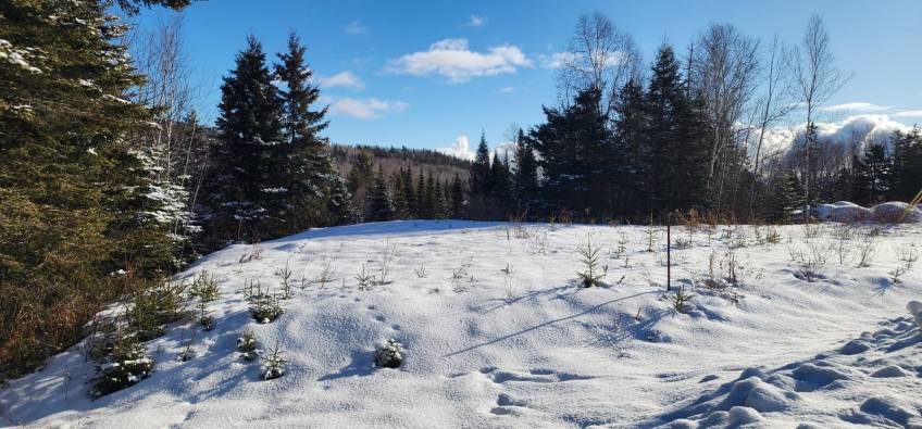 8 - Lot and land for sale, Les Éboulements (Code - eb303, Charlevoix)