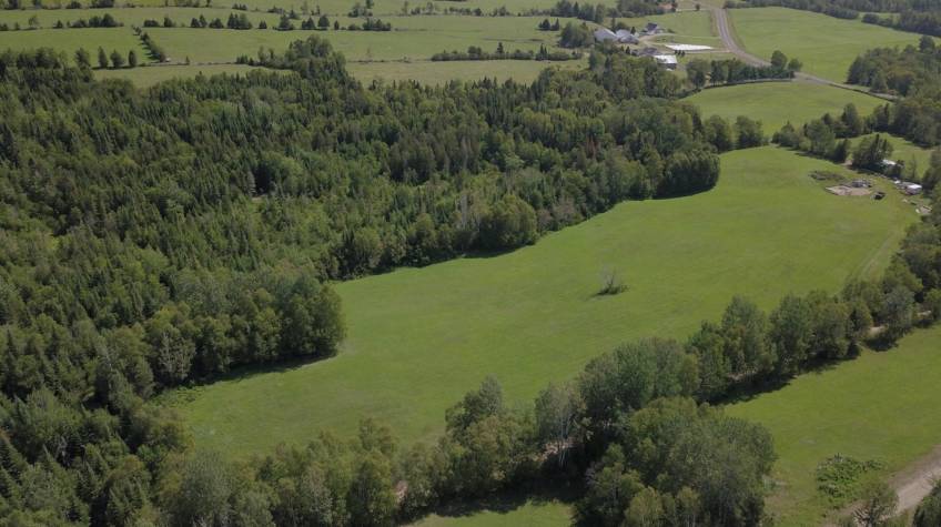 14 - Lot and land for sale, Les Éboulements (Code - eb320, Charlevoix)