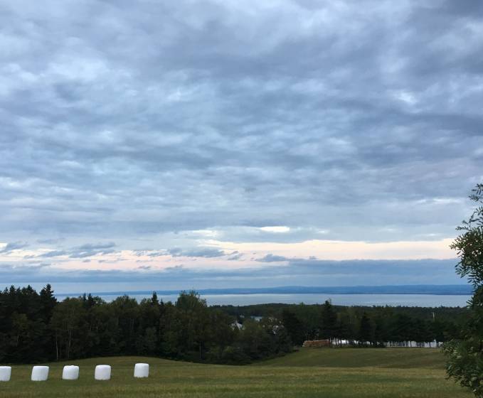 2 - Lot and land for sale, Les Éboulements (Code - eb320, Charlevoix)