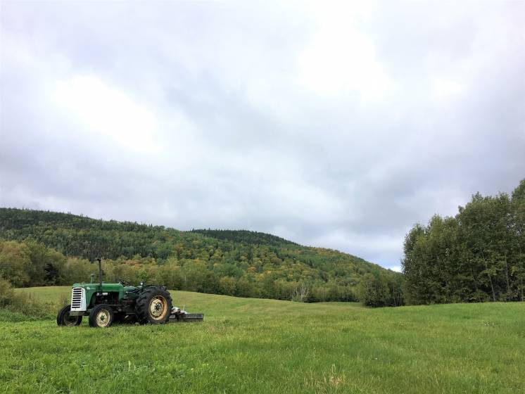 7 - Lot and land for sale, Les Éboulements (Code - eb320, Charlevoix)