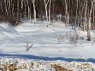 3 - Terrain et terre à vendre, Baie-Saint-Paul (Code - sp920, Charlevoix)