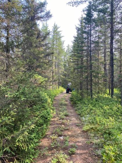 1 - Lot and land for sale, Saint-Siméon (Code - ss070, Charlevoix)