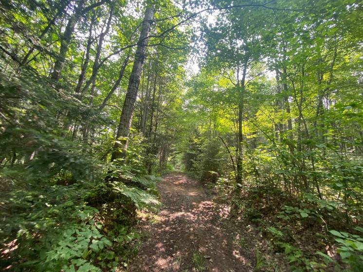 10 - Lot and land for sale, Saint-Siméon (Code - ss070, Charlevoix)