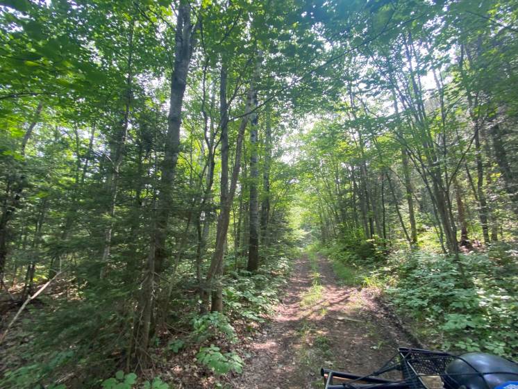 11 - Lot and land for sale, Saint-Siméon (Code - ss070, Charlevoix)