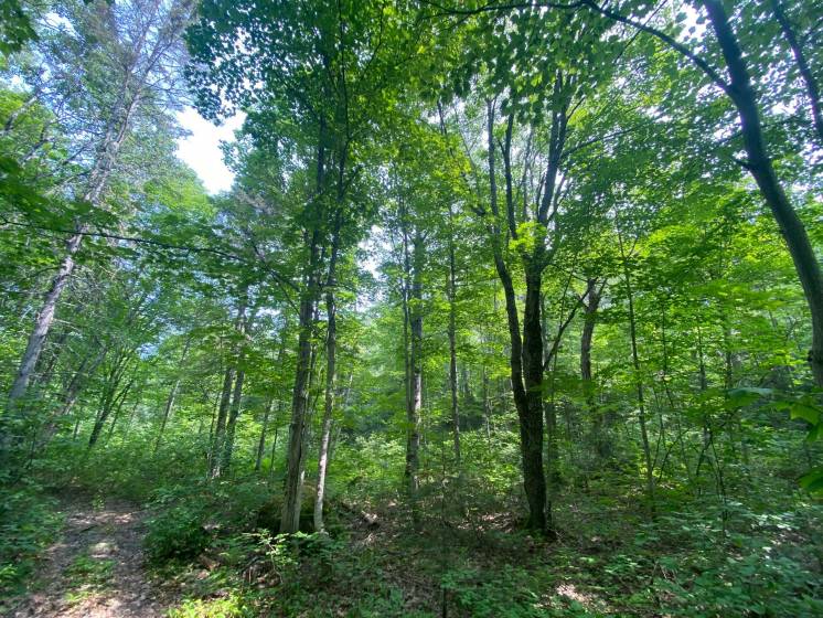 14 - Lot and land for sale, Saint-Siméon (Code - ss070, Charlevoix)