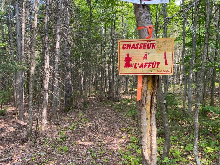 15 - Lot and land for sale, Saint-Siméon (Code - ss070, Charlevoix)