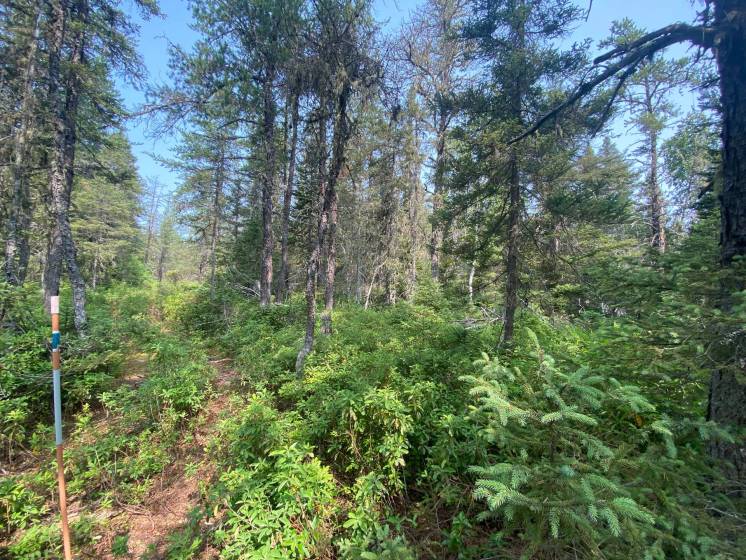 7 - Lot and land for sale, Saint-Siméon (Code - ss070, Charlevoix)