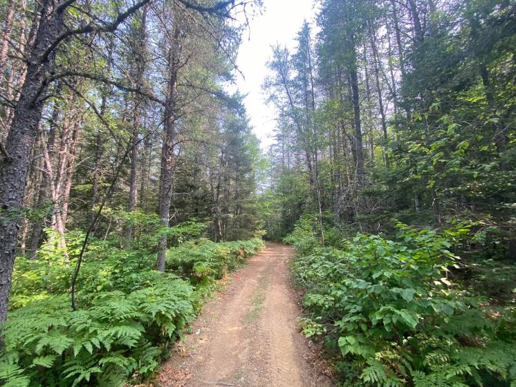 9 - Lot and land for sale, Saint-Siméon (Code - ss070, Charlevoix)