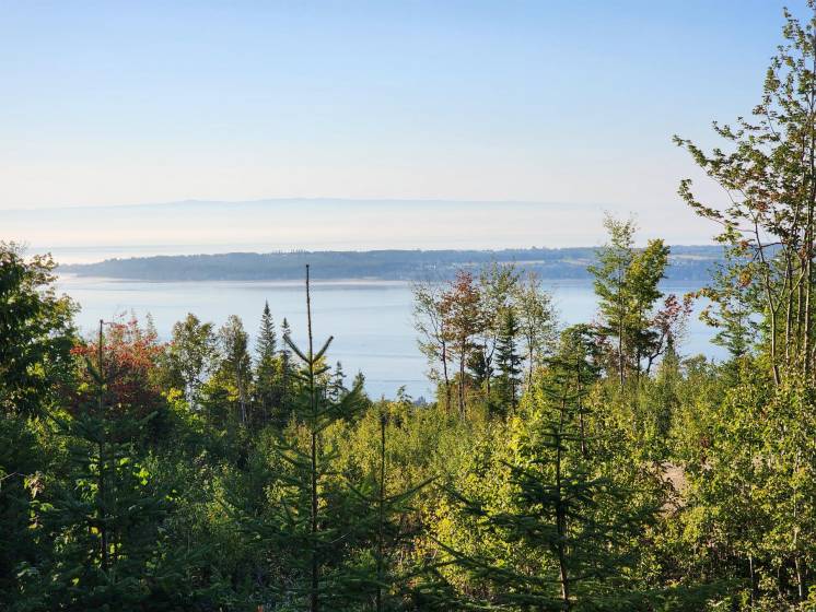 2 - Lot and land for sale, Les Éboulements (Code - eb290, Charlevoix)